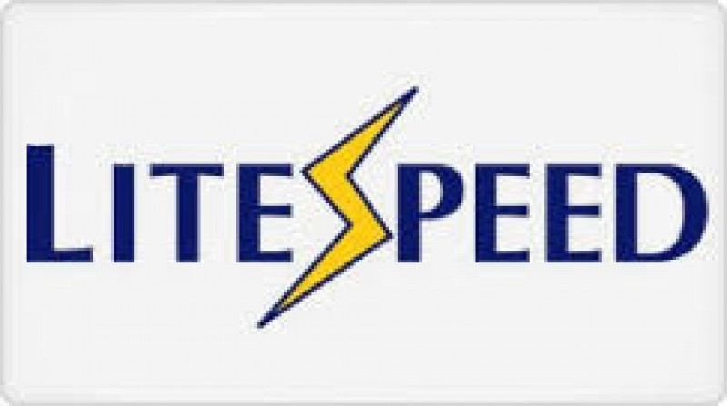 Alasan Penyedia Hosting dan Domain Berani Membeli Lisensi LiteSpeed Web Server yang Mahal